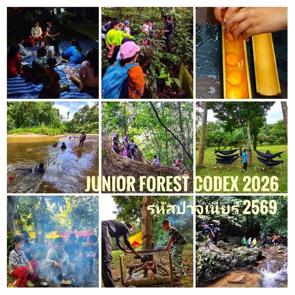 8-10 สค.69 รหัสป่า junior รุ่น 69 นครศรีธรรมราช รับเด็ก 6-12 ปี 